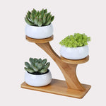 Load image into Gallery viewer, Succulent Pots &amp; Bamboo Shelf
