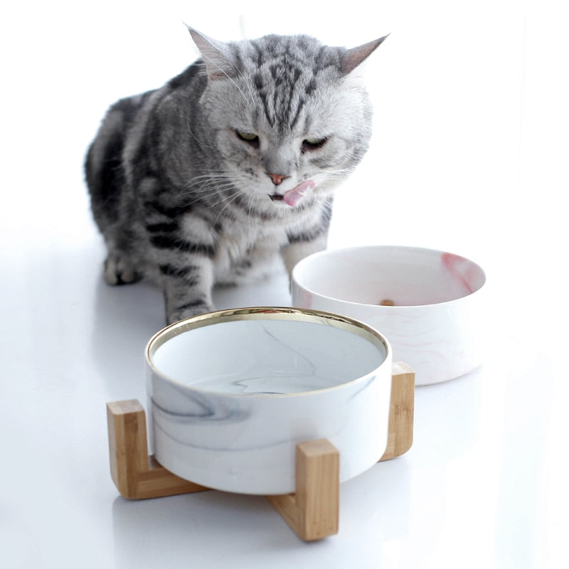 Marbling Ceramic Double Bowl For Pet