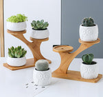 Load image into Gallery viewer, Succulent Pots &amp; Bamboo Shelf