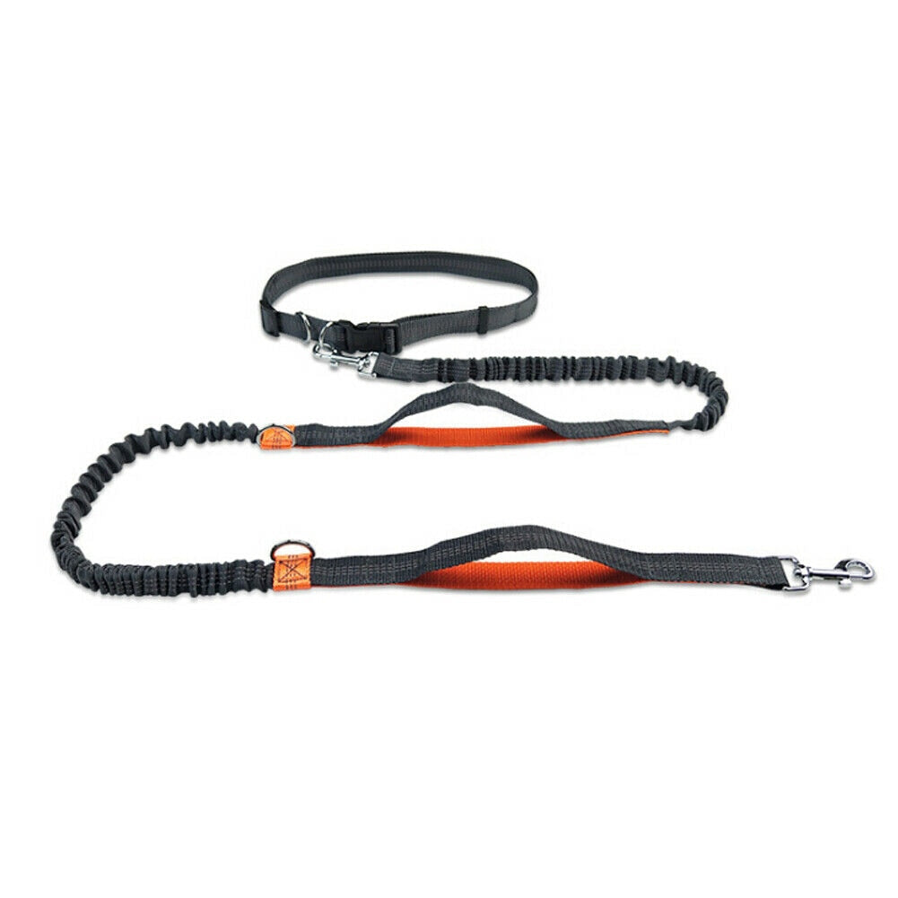 Reflective Rope Pet Leashes