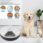Load image into Gallery viewer, Round Timing Automatic Pet Feeder DSERS