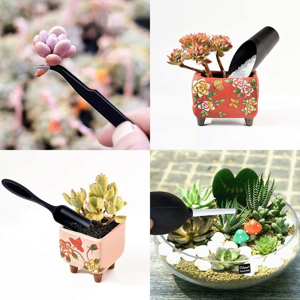 Succulent Plants  Mini Hand Tools Set eprolo