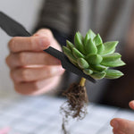 Load image into Gallery viewer, Succulent Plants  Mini Hand Tools Set eprolo