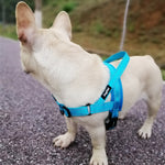 Load image into Gallery viewer, Adjustable Dog Harness