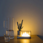 Load image into Gallery viewer, Nordic LED Night Lamp